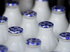 Farmers in the UK announce 'action plan' over milk prices