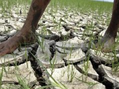 Thousands of Puerto Rican households limited to water twice weekly as drought continues