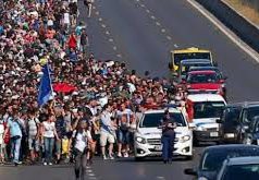Migrants stuck at a Budapest railway station have set off on foot, saying they intend to walk to Austria