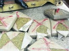 50 pounds of marijuana wash ashore in Florida