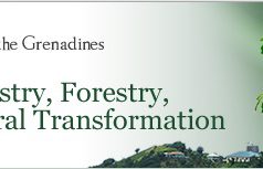 Ministry of Agriculture honors 21 retired officers