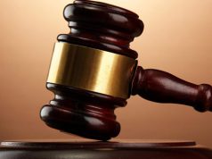 Guyanese woman sentenced to five years probation in huge fraud case