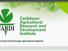 Consultation being held on preparation of business plans for the development of agricultural facilities