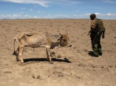 Kenya declares national drought disaster