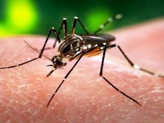 Zika cost in the Region will be in the billions