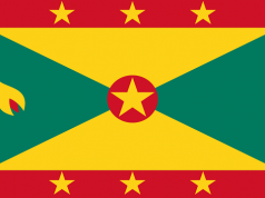 Man Charged with Non-Capital Murder in Grenada