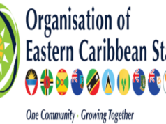 Students Participate in OECS Early Reading and Mathematics Assessments