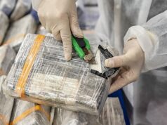 Global cocaine production reaches record levels