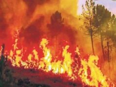 State of emergency declared as deaths in Chile wildfires surpass 100