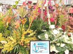 Barbados wins 22nd gold at Chelsea Flower Show