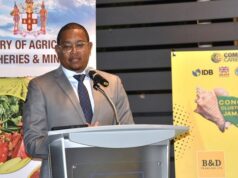 Conch (export levy) Order 2024 approved by Jamaican Parliament