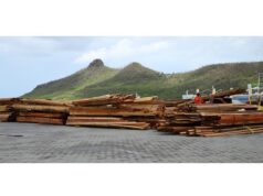 Grenada’s Hurricane Beryl damage assessment ongoing