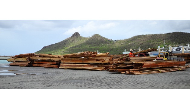 guyana_building_materials_9a0ec0f4acae7ba50ed0305dbea0dee4