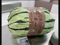 Fake watermelons full of drugs fail to fool US agents