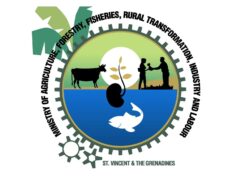 Small Business Grant Program Now Accepting Applications