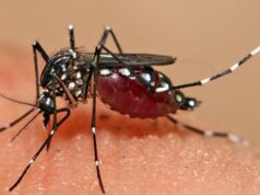 T&T’s parents to be on alert as Dengue cases in children increase