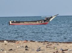 Dozens dead as smugglers force persons off of boat