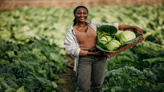 Shot,Of,An,Attractive,Young,Female,Farmer,Carrying,A,Crate