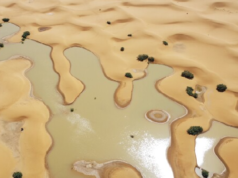 Torrential rains cause flooding in Sahara Desert