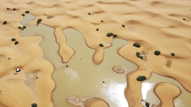 Saharan flooding