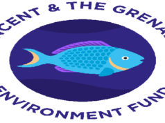 SVGEF Hosts Educational Field Trip for SVGCC Biology Students on Sea Turtle Conservation