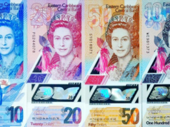 Income Support Payments Roll Out for Households Affected by Hurricane Beryl