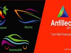 Grenada Hosts Inaugural GBV Power of Partnership Business Forum