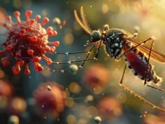 2 cases of Oropouche virus disease confirmed in Barbados