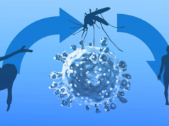 BAMP Urges Caution as COVID-19 and Oropouche Virus Pose Holiday Health Risks