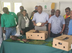 CARDI Makes Donation to Ministry of Health