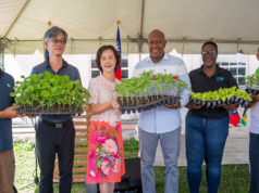 Taiwan Donates Agricultural Equipment and Seedlings to Support Farming Recovery Efforts