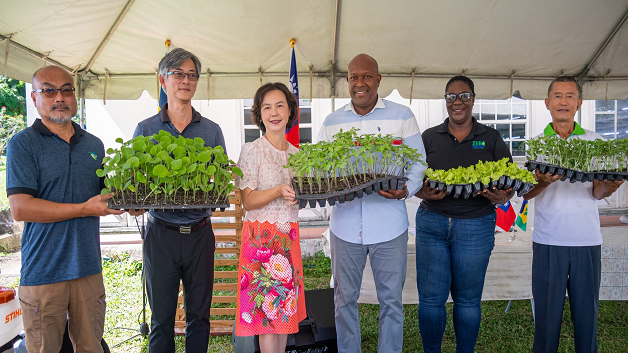 Taiwan Seedlings Support