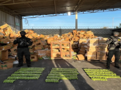 Cocaine Found Disguised as Handcrafted Ceramic Bananas in the Dominican Republic