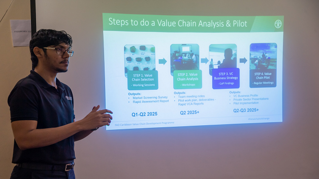Agri FAO Value Chain