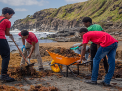 SJCM Students Join Beach Cleanup to Protect Turtle Nesting Site
