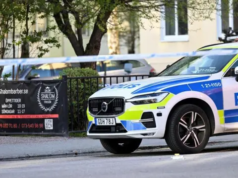 Teenager Arrested after Fatal Triple Shooting in Sweden