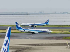 Japanese Plane Made Emergency Landing after Man Tried to Open Door