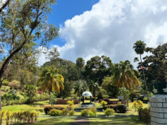 SVG Botanical Garden Marks 260th Anniversary with Year-Long Celebrations