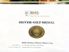 SVG Wins Silver-Gilt at RHS Chelsea Flower Show After 34-Year Hiatus