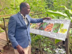 Soft Opening of the Prospect Brighton Conservation Park Held Yesterday
