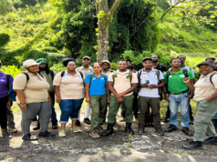 Forestry Officers Complete Dendrology Training