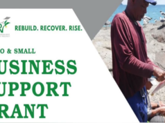 Beryl Emergency Resilient Recovery Project Officially Launched