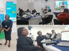 SVG Delegation Attends Global Water Partnership-Caribbean Workshop in Grenada