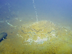 Increased Seismic Activity Recorded at Kick-‘em-Jenny Submarine Volcano