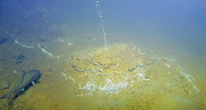 Increased Seismic Activity Recorded at Kick-‘em-Jenny Submarine Volcano