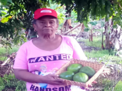 Vincentian Farmer Honored as Leader of Rurality of the Americas