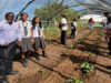 Sustainable Grenadines Inc. Hands Over SVG’s First School Apiary