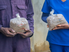 Agriculture Ministry Reports Positive Results from Conch-Based Pig Feed Trial